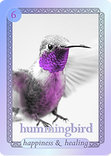 hummingbirf.png