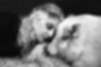 diana--3-B_edited_edited.jpg
