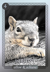 squirrel_edited.jpg