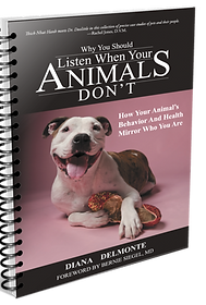 why should listen ebook mock up copy.png