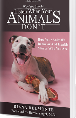 mediamodifier_image (3).png