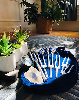 tuning forks 1.jpeg