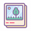 icons8-photo-gallery.gif