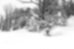 _MG_7895_edited.jpg