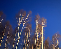 IMG_3206 8_edited.jpg