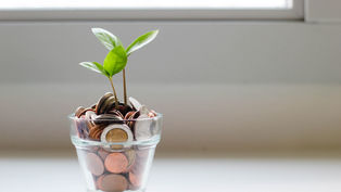 Living Trusts vs. Testamentary Trusts