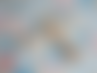 What to Know about Probate Attorneys