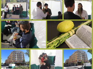 Souccot 5779 exceptionnel au Beth Loubavitch Lariboisière Bichat BH !!