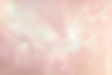 Belle Pearl Desktop copy.jpg