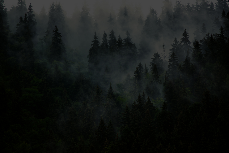 home.png