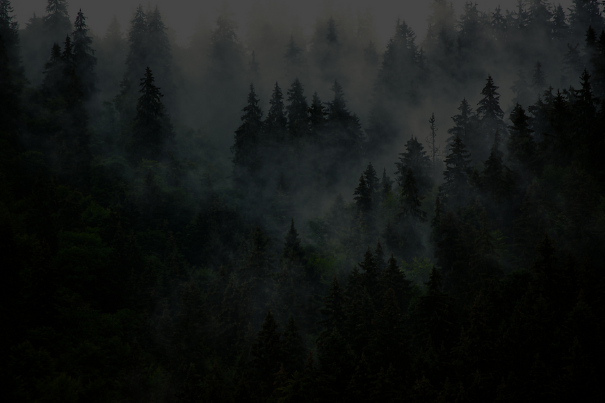 home.png