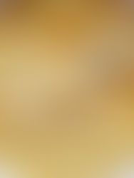 Pasta mit cremiger Kürbissoße