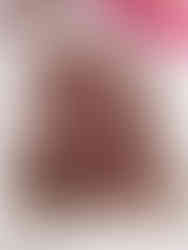 Schokoladen-Tiramisu