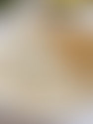 Hähnchengeschnetzeltes mit Pilzen