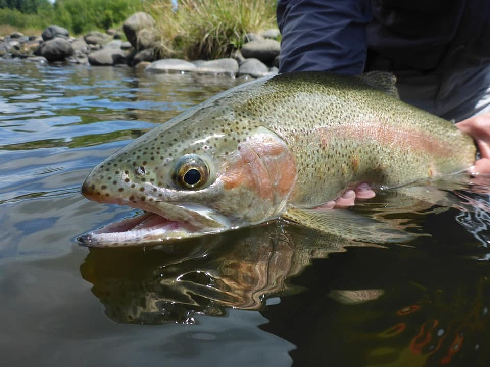 Golf Clubs, Trout Streams and Great Stories