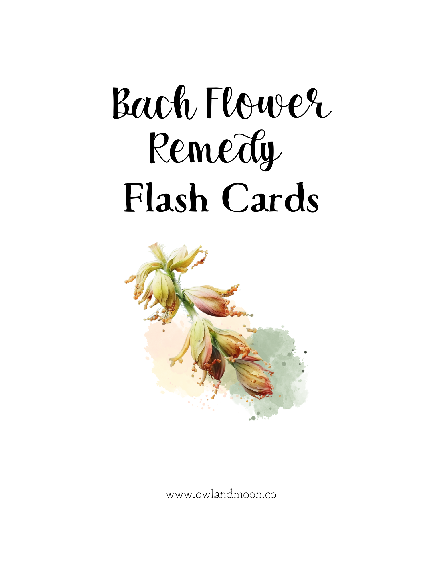 Bach Flower Remedy Cards