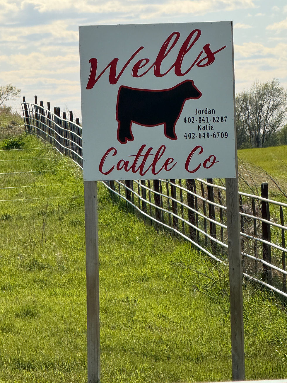 Wells Cattle Co. - Nebraska