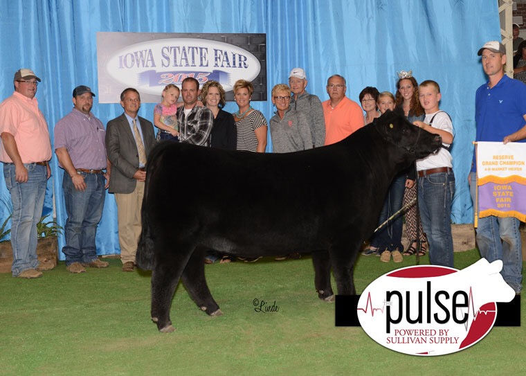 Jansen Show Cattle Iowa