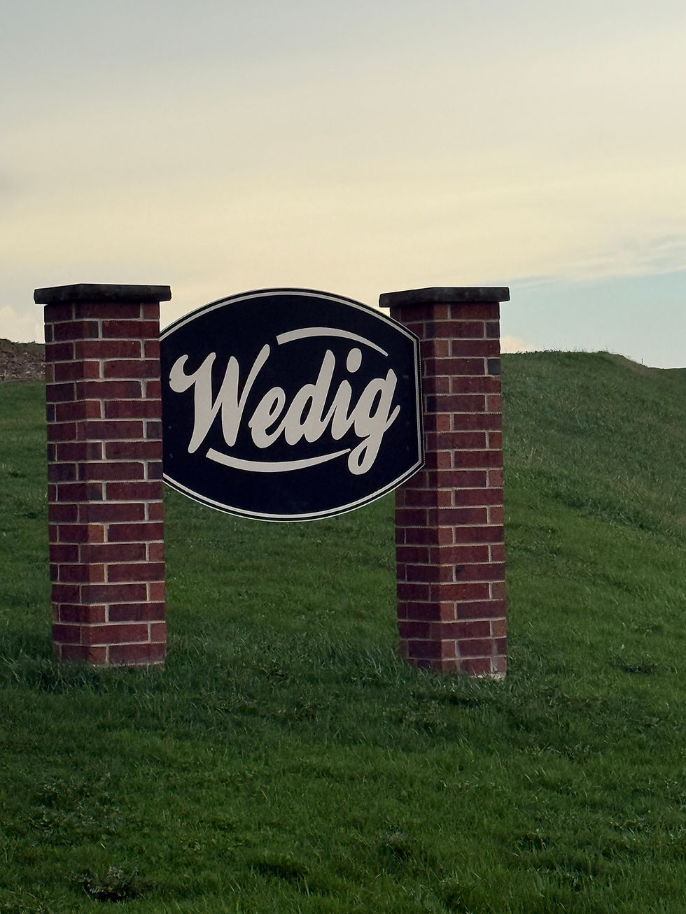 Wedig Show Cattle - Wisconsin