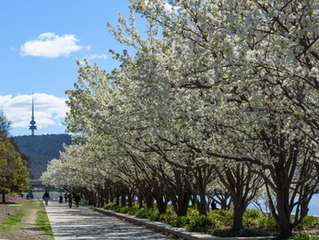 Labassa Capital Credit Fund Update September 2025