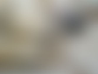 Pet Bereavement Resources