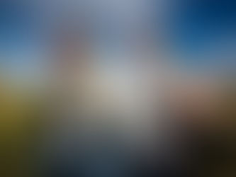 Bark Social Opens in Rockville Maryland