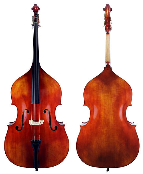 KRUTZ Series 200 Hybrid Bass | KRUTZ Strings