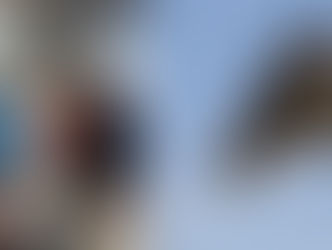 Así va el viaje de la Jirafa Benito hacia Puebla