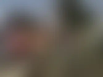 Obras viales y paso de peregrinos colapsan la México–Puebla y México–Texcoco