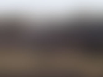 Ferromex suspende operaciones