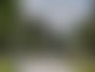 ¿Gasto innecesario? Empresarios de Toluca cuestionan remodelación de la Alameda Central