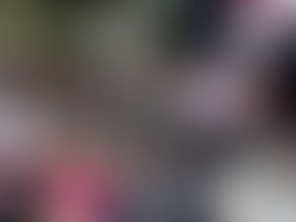 Colectivos exigen respuesta a la iniciativa para la prohibición de corridas de toros