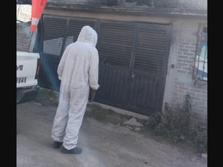 Ataque de abejas en Ecatepec deja 7 personas picadas; bomberos retiran enjambre de casa abandonada