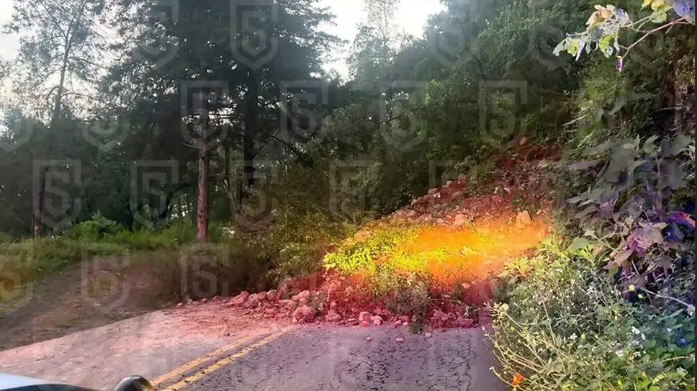 ree