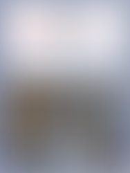 Consulate Panel Discussion