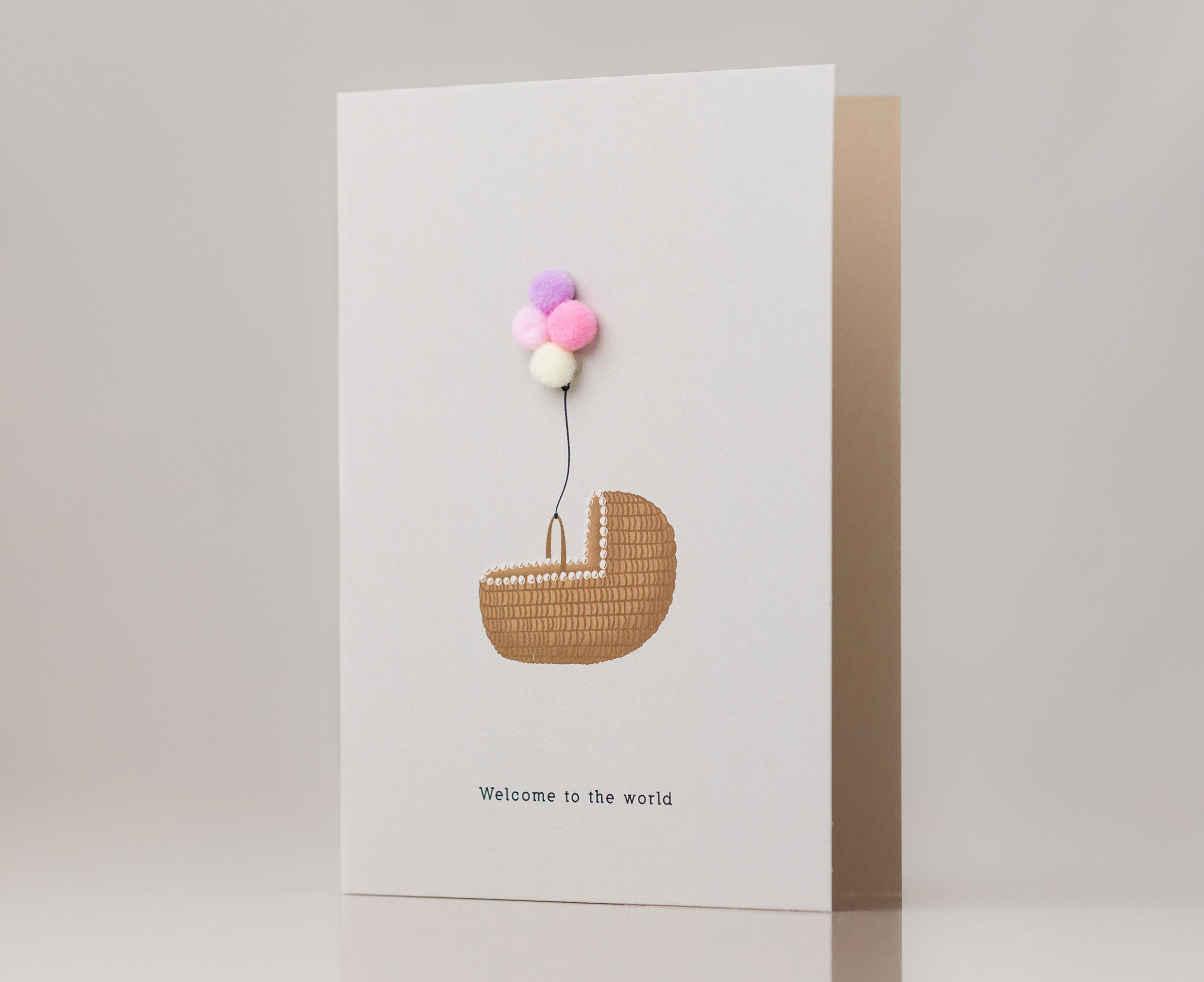 Welcome to the world | girl