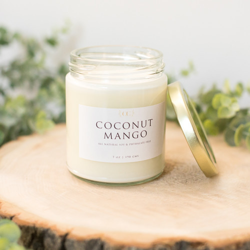 All Natural Soy Wickless Candle Jars 7 oz Chickpea Creations