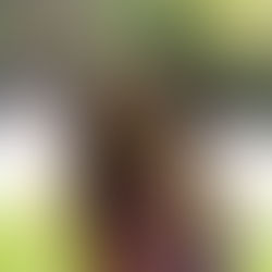 Connaissez-vous le meilleur objectif photo entrée de gamme?