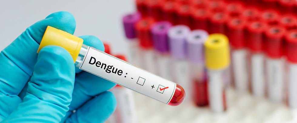 Foto de análise de sangue positivo para dengue
