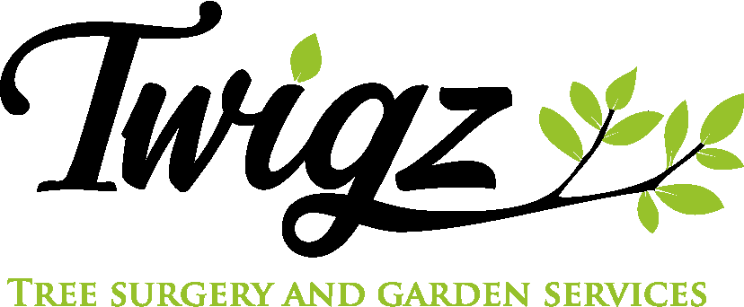 Twigz-logo.gif