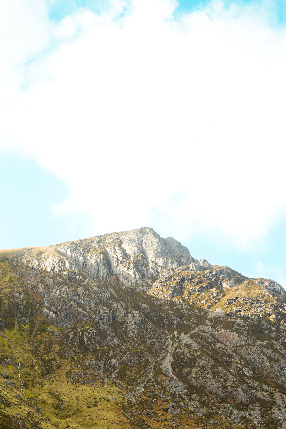Wales 3 wix