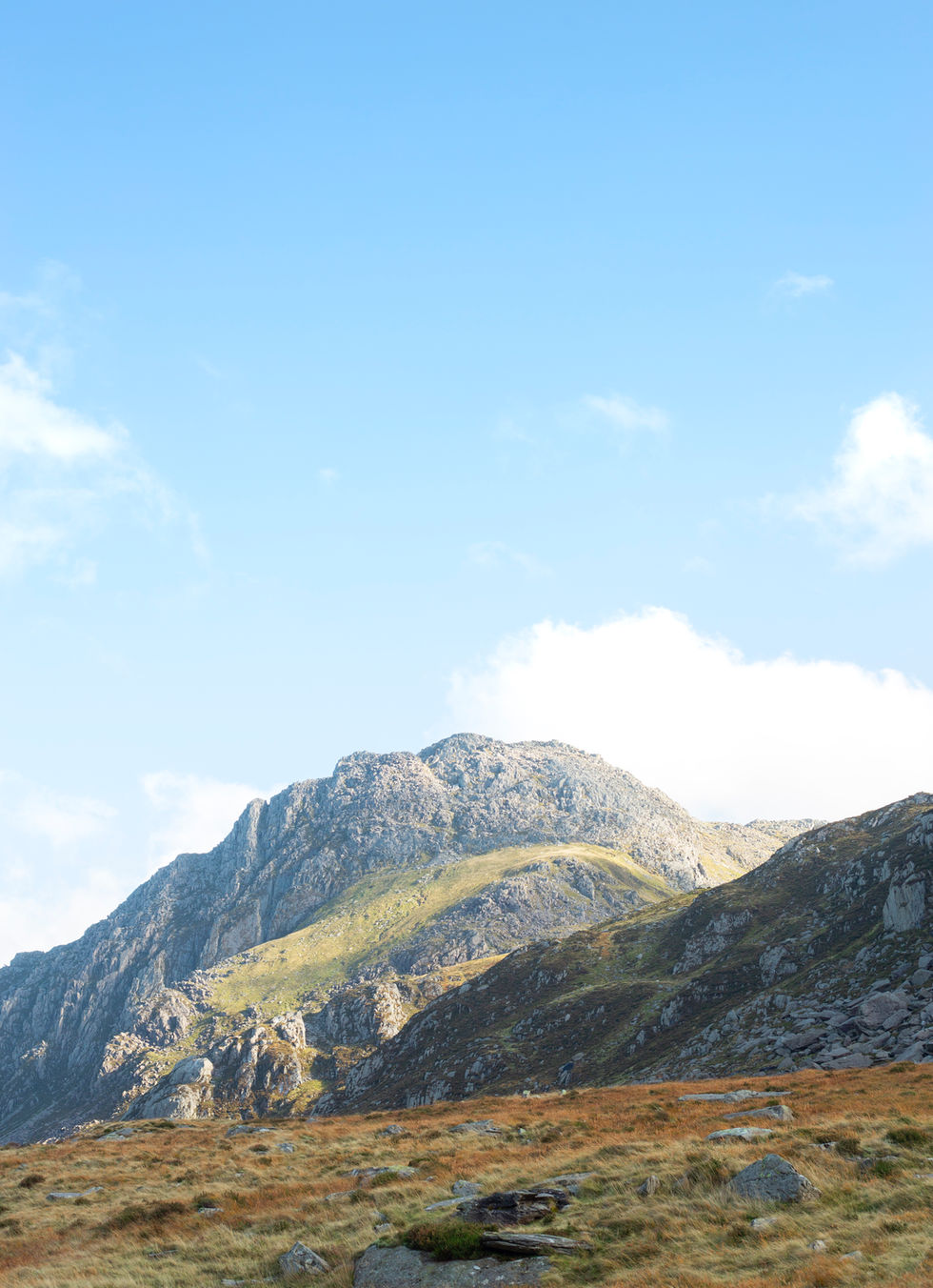 Wales 2 wix