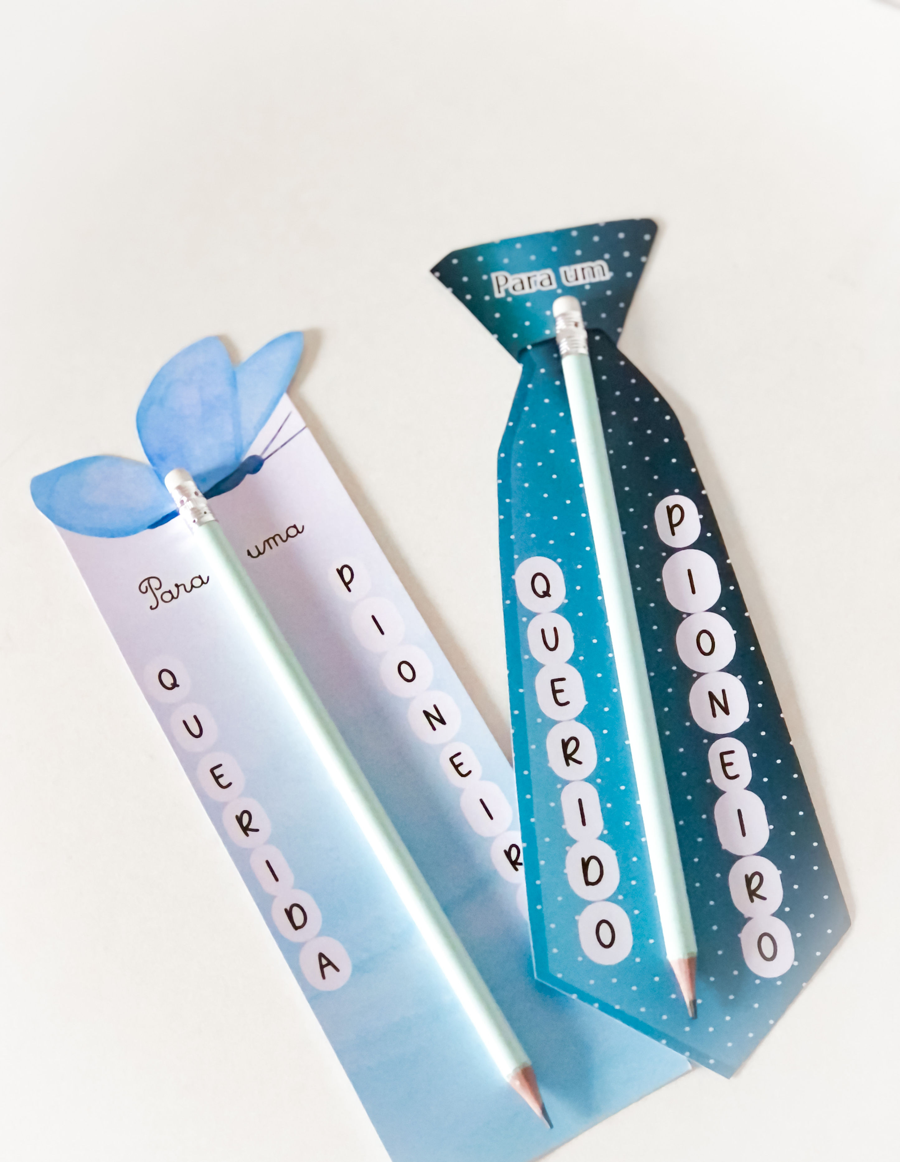 Porta lápis pioneiros