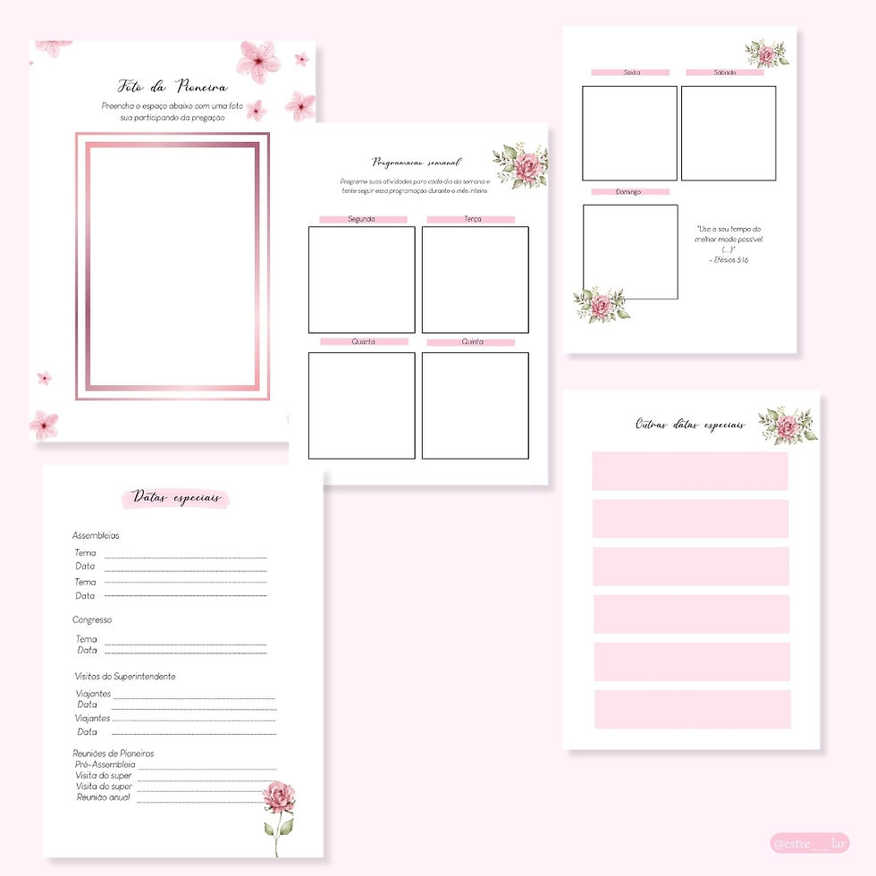Miniatura: Planner pioneira rose gold