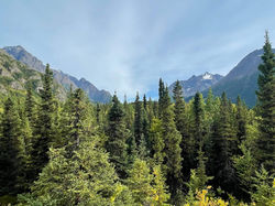 Beautiful mountain views