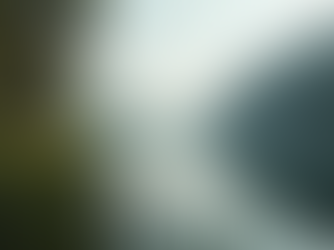 Meet Your Guide: Justin Wallace's Fishing Expertise