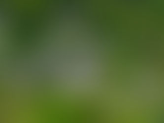 Permakultur-Planungskurs "Mit Wasser gestalten" mit Lorenzo Costa vom 5. bis 10. Juli 2024