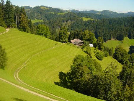 Tageskurs "Beziehungspflege mit der Landschaft", Samstag, 5. September