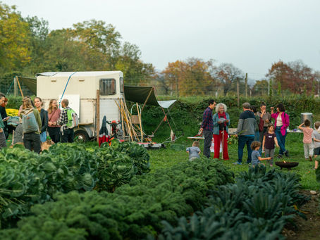 Stellenangebot: Solawi Plankton Basel LeitendeR GemüsegärtnerIn und GemüsegärtnerIn