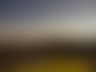 Who Should Lead? - An NFL Franchise On The Ropes